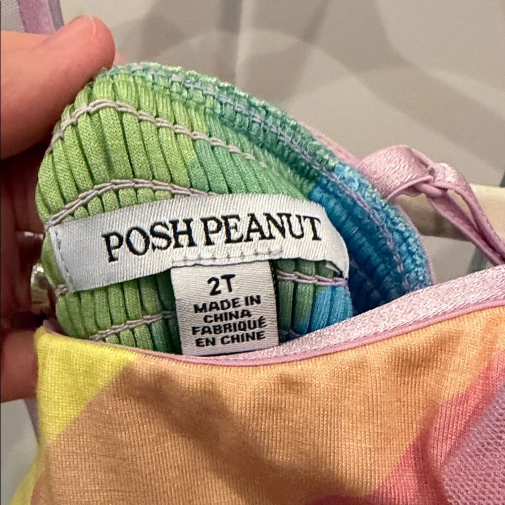 Posh Peanut Rainbow Striped Tutu Dress - Picture 2 of 3